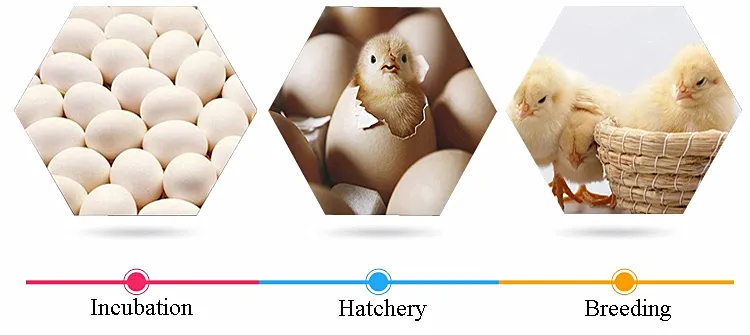 1056 Eggs Chicken Egg Incubator Automatic Setter Hatcher Machine