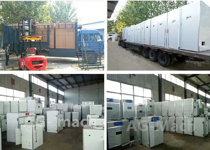 Automatic Poultry Chicken Duck Goose Egg Incubator for Sale