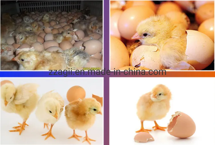 Automatic Poultry Hatching Machine Solar Chicken 1056 Egg Incubator