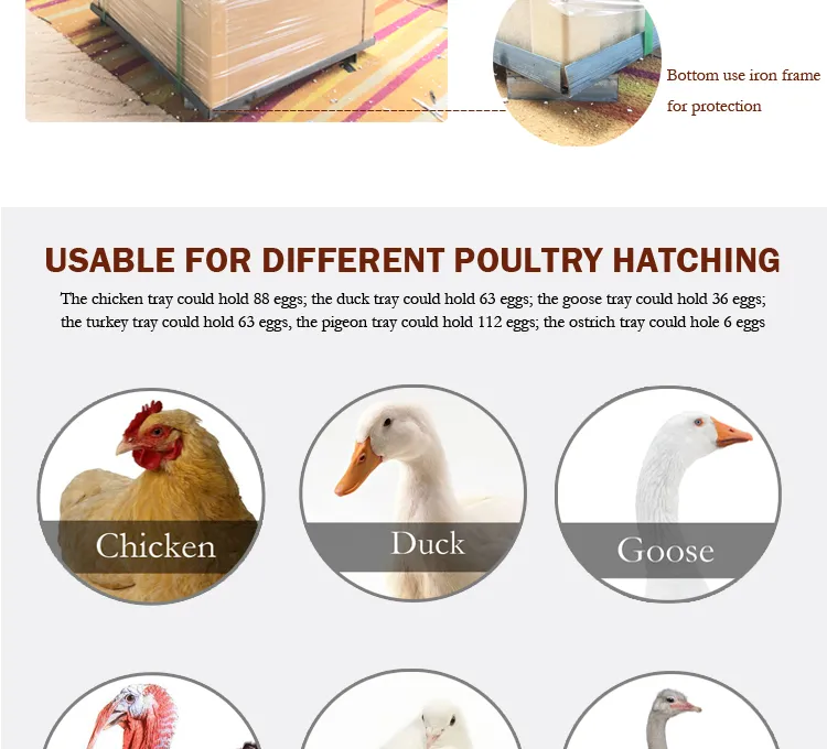 CE Approved Automatic Used Chicken Egg Incubator Hatcher Machine