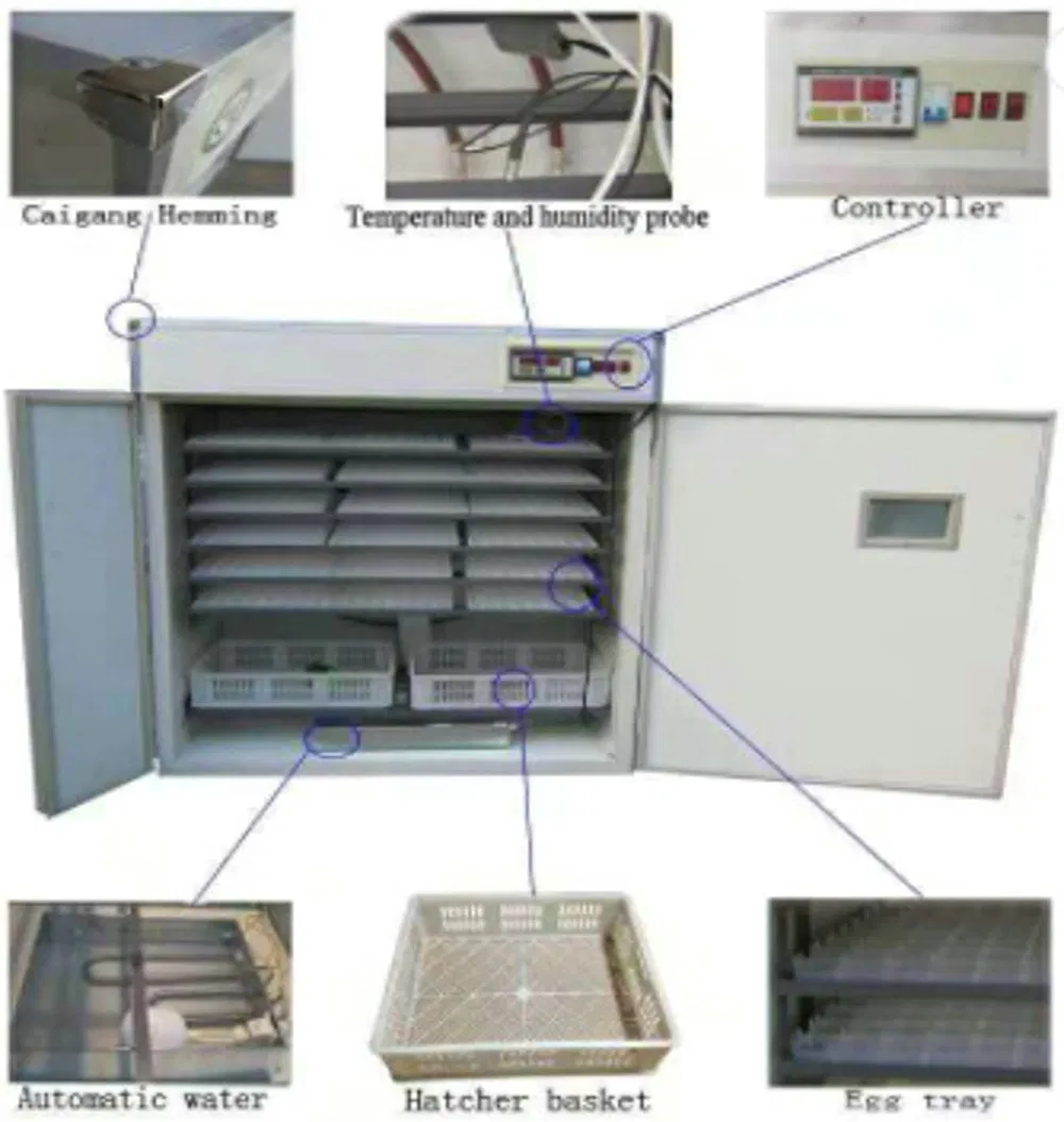 CE Certified Automatic Solar Power Incubator with 1056 Eggs