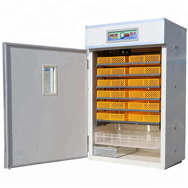 Cheap Eggs Incubators for Sale