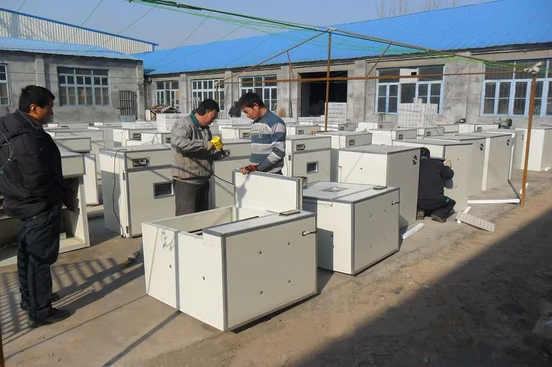 Full Automatic Industrial Commercial Quail Eggs Incubator for Sale