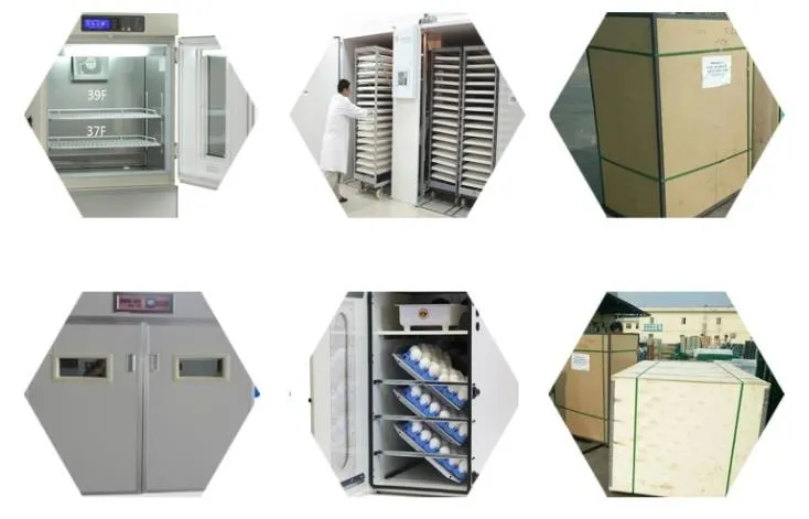 Fully Automatic 1056 Incubator and Hatcher/Egg Incubator Hatchery/Chicken Farm Poultry Equipment