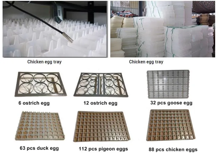 Fully Automatic 1056 Incubator and Hatcher/Egg Incubator Hatchery/Chicken Farm Poultry Equipment