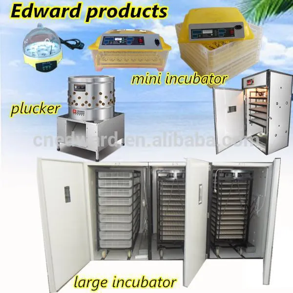 Fully Automatic Poultry Equipment for Hatching 1056 Eggs