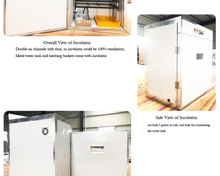 Newly Quail Chicken Incubator Hatcher Machine for Hatching