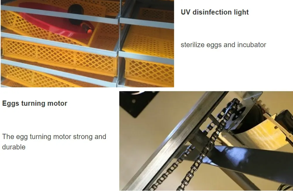 Solar System Power Fully Automatic 1056 Capacity Incubator for Chicken Egg